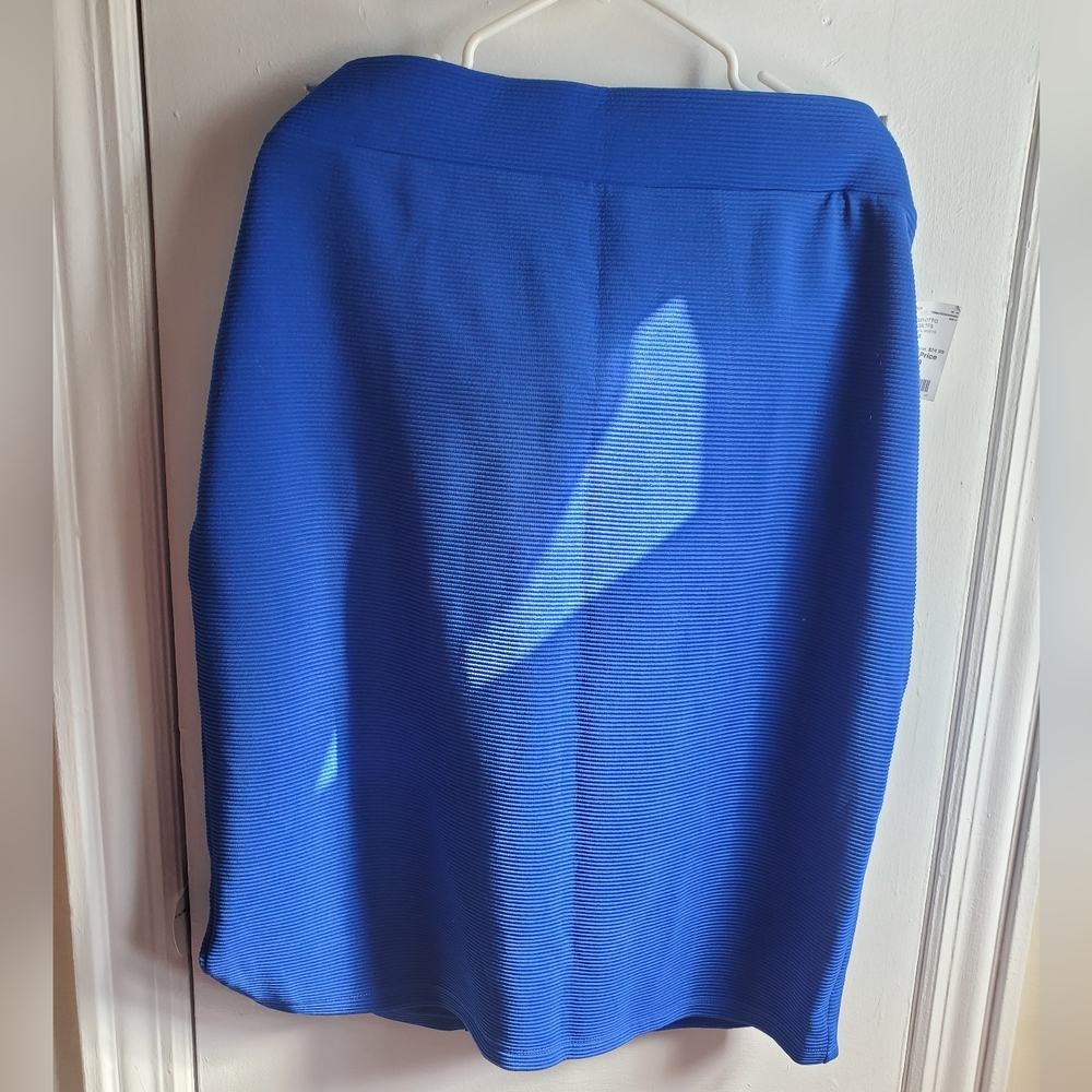 Royal Blue Skirt